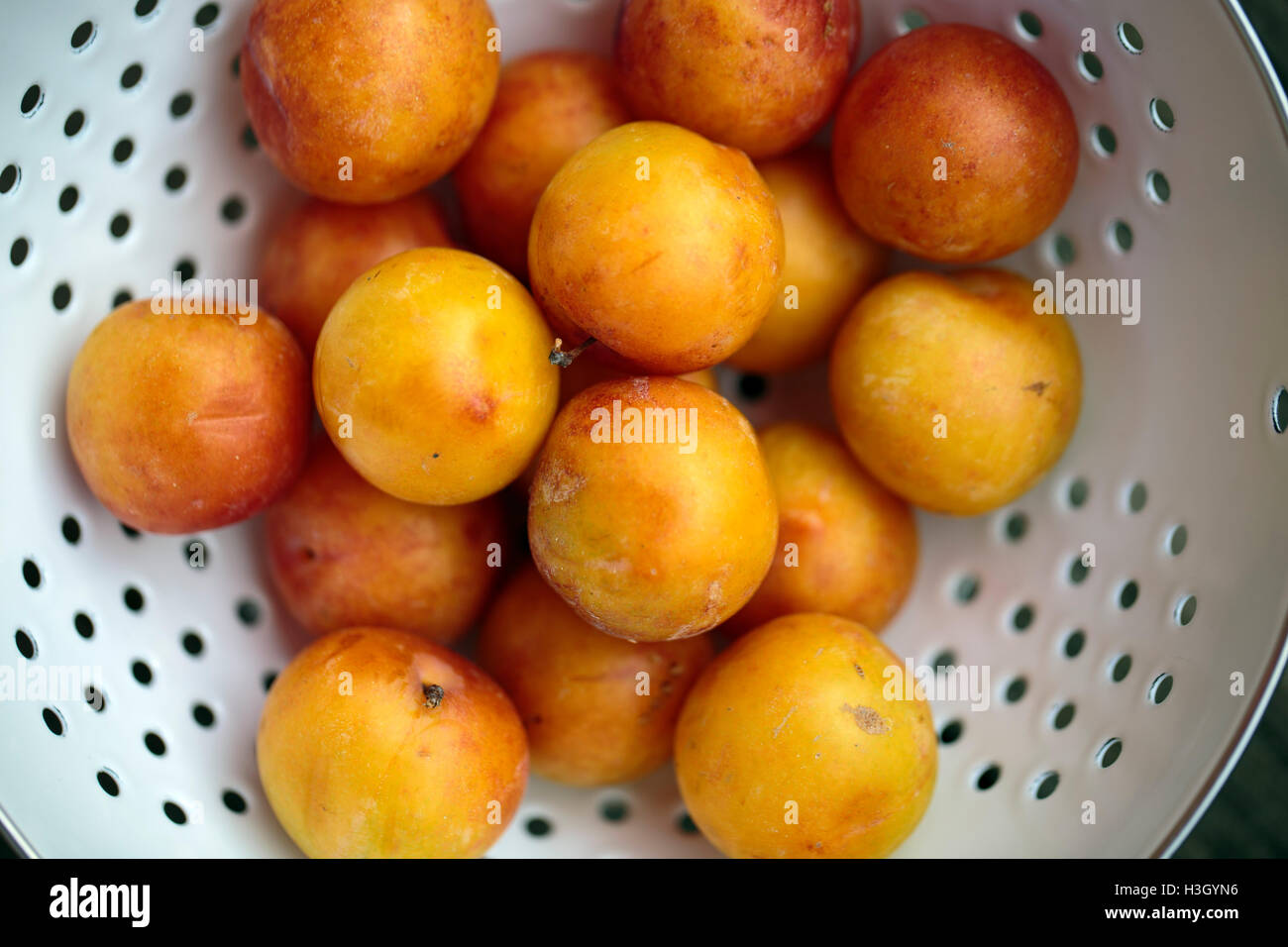 Rustic Still Life in Country Style with Ripe Yellow Plums Stock Photo