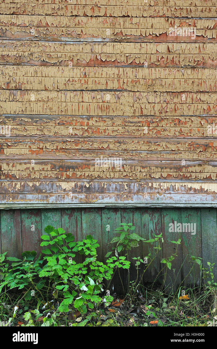 Vintage wooden wall close up Stock Photo Alamy