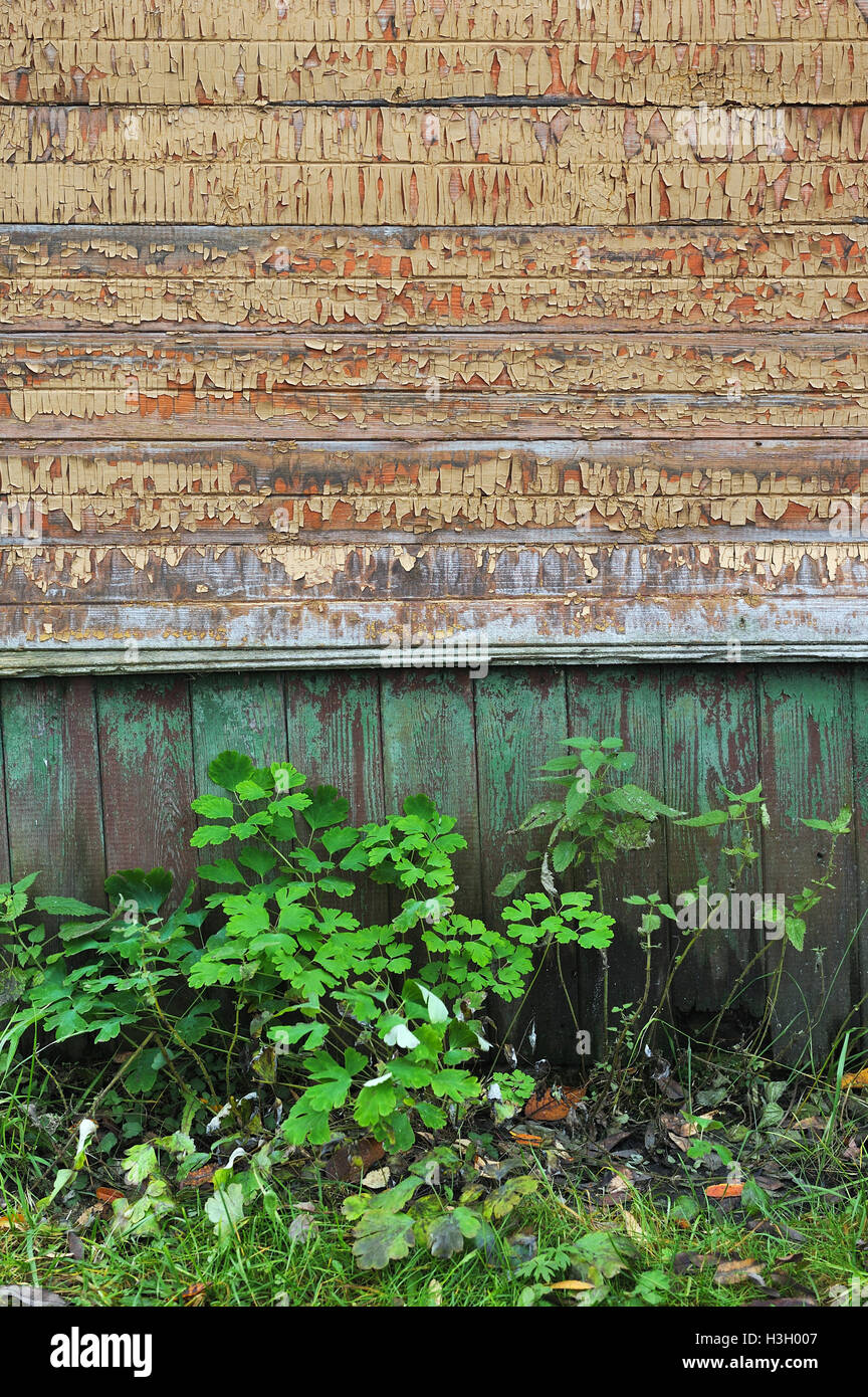 Vintage wooden wall close up Stock Photo Alamy