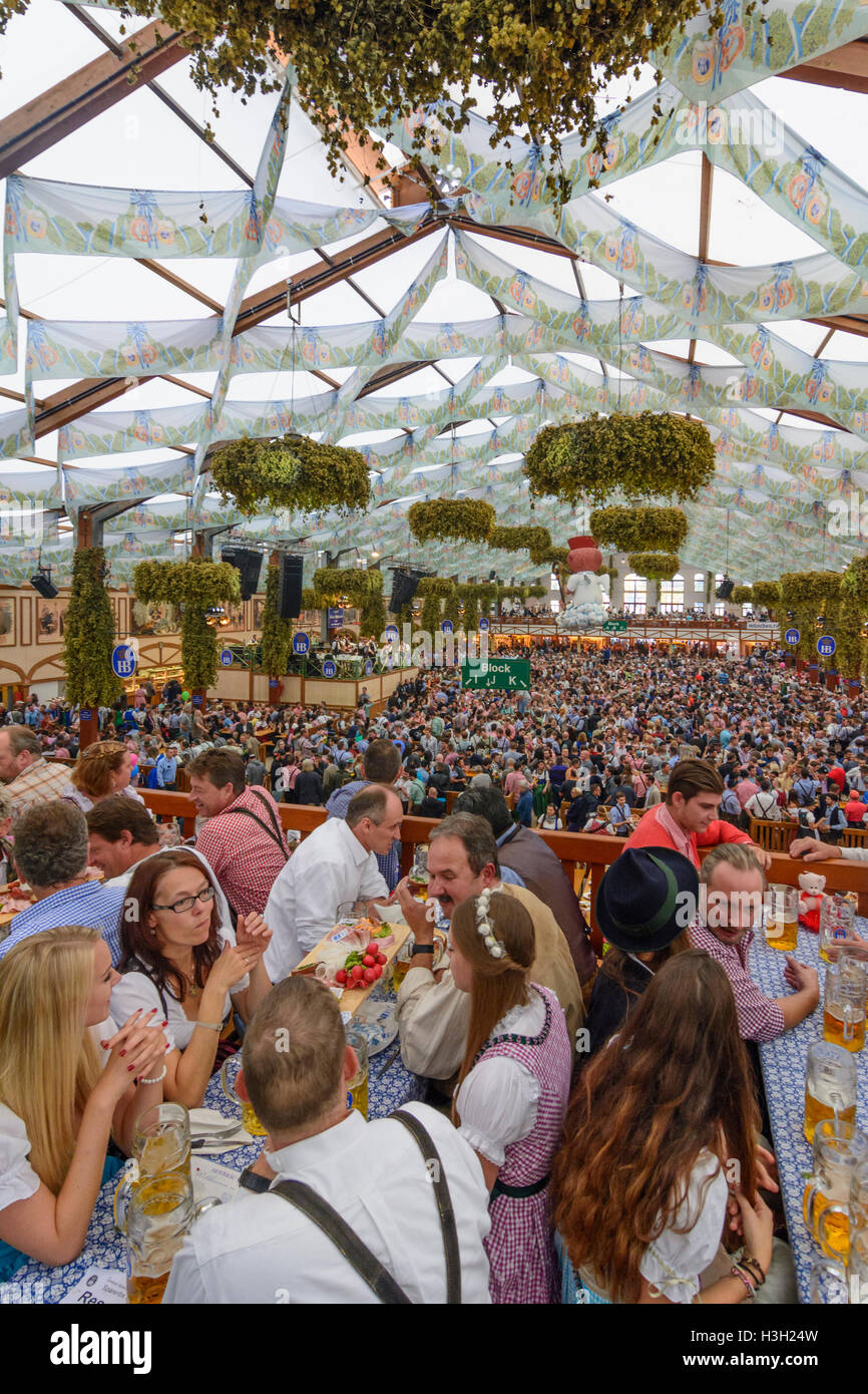 München, Munich: Oktoberfest beer festival: Hofbräuhaus Brewery tent, guests, Oberbayern, Upper Bavaria, Bayern, Bavaria, German Stock Photo