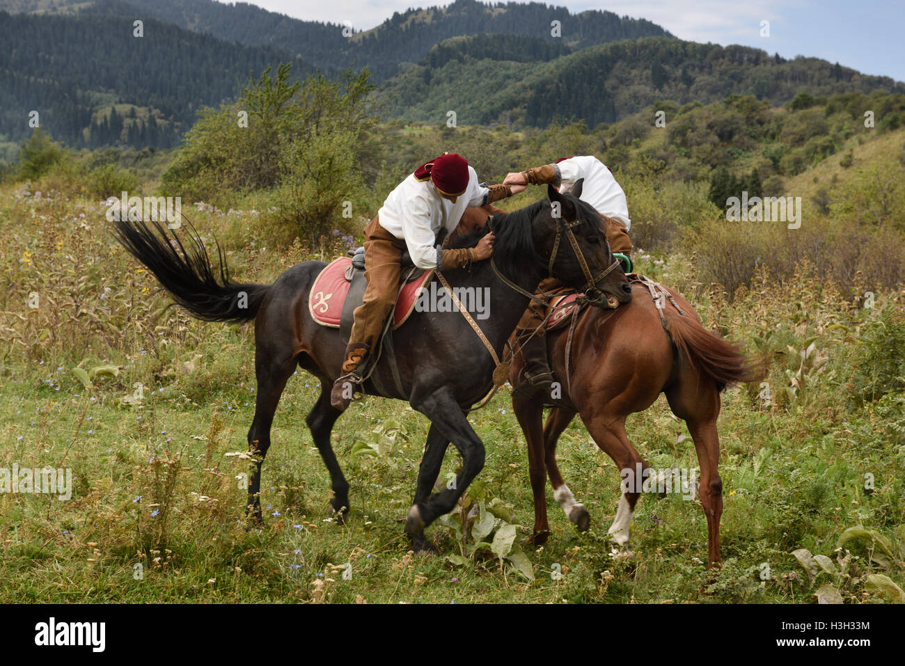 Kazakh men arm wrestling on horseback called Atpen Audaraspak in Huns Village Stock Photo