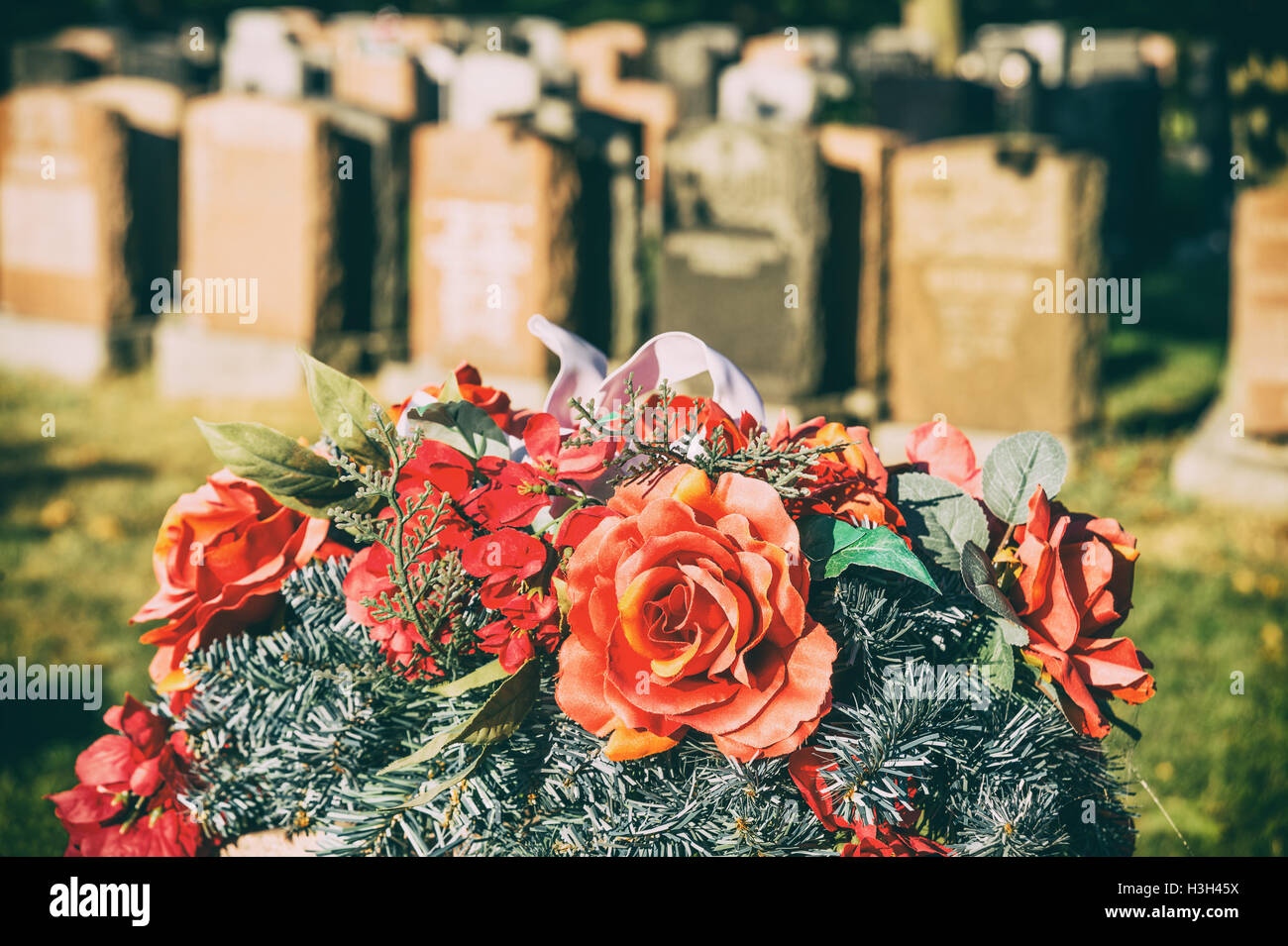 Roses in a cemetery with headstones in the background (faded retro effect) Stock Photo