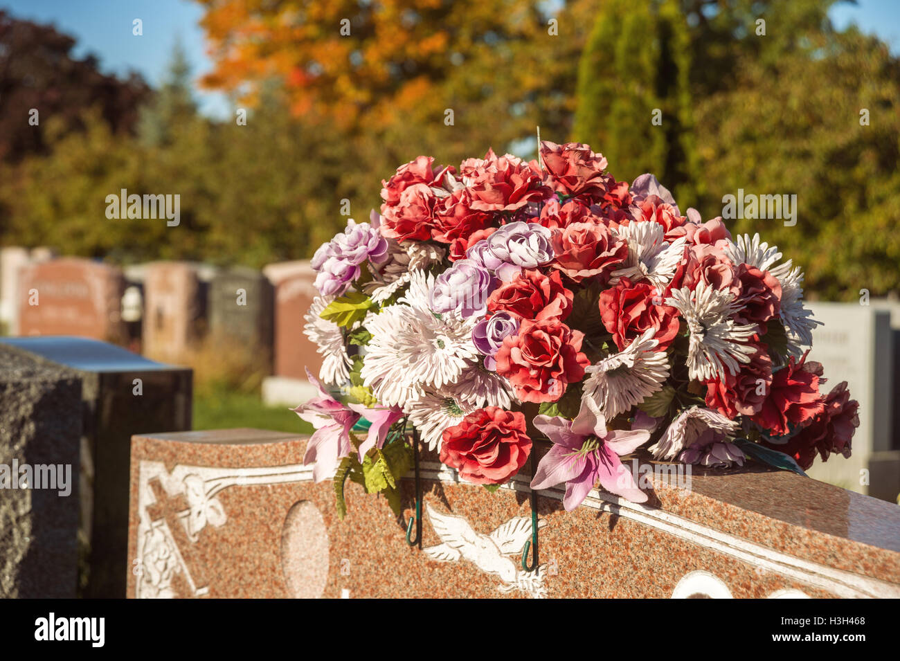 What are the flowers in the cemetery 85 What are the flowers in the cemetery 28