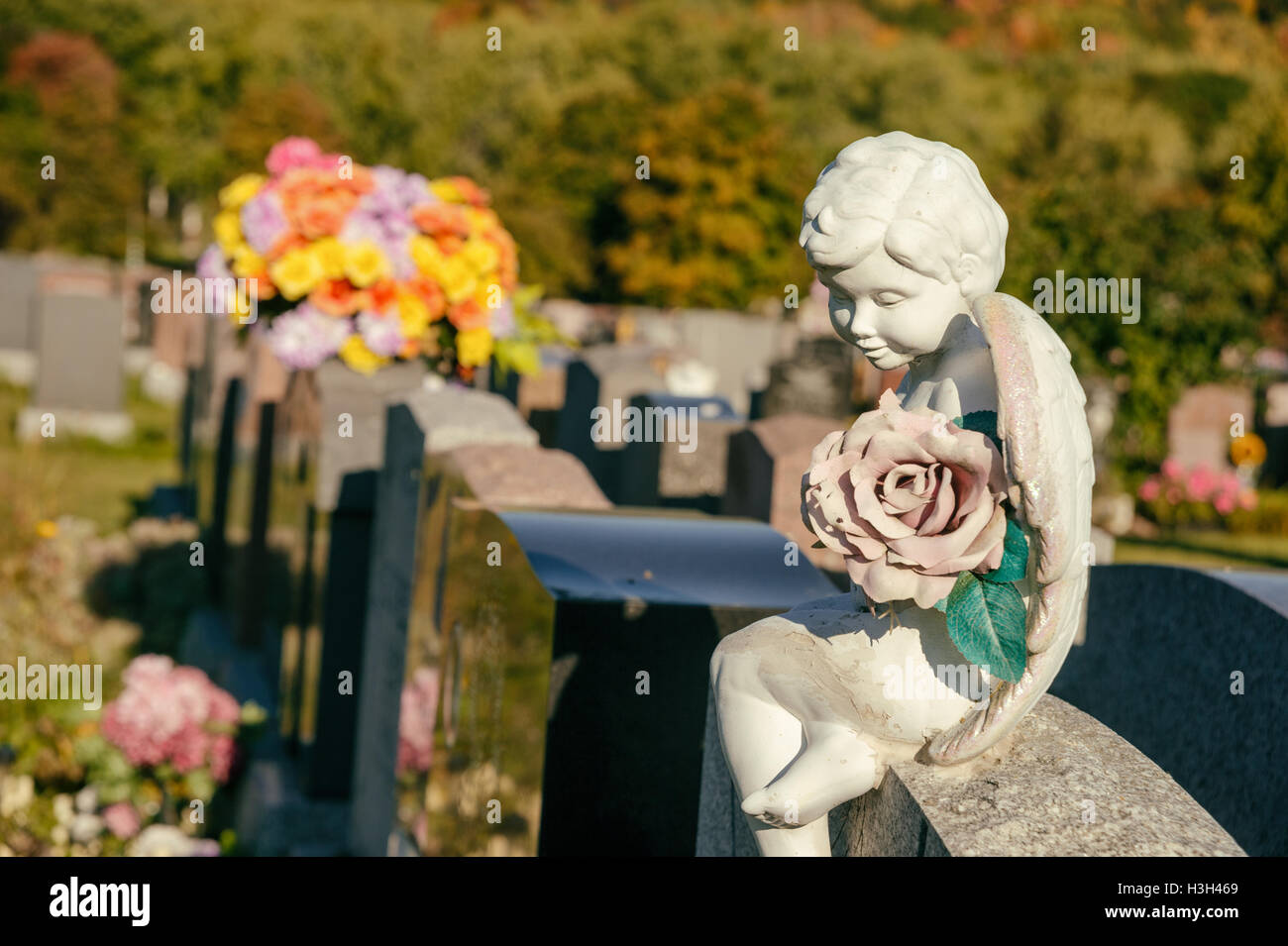 Statue of an angel holding a rose sitting on a tombstone in a cemetery with flowers and headstones in the background Stock Photo