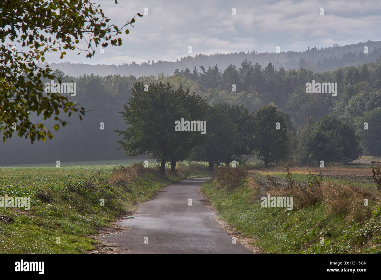 Rising mist over the undulated fields in October morning Stock Photo