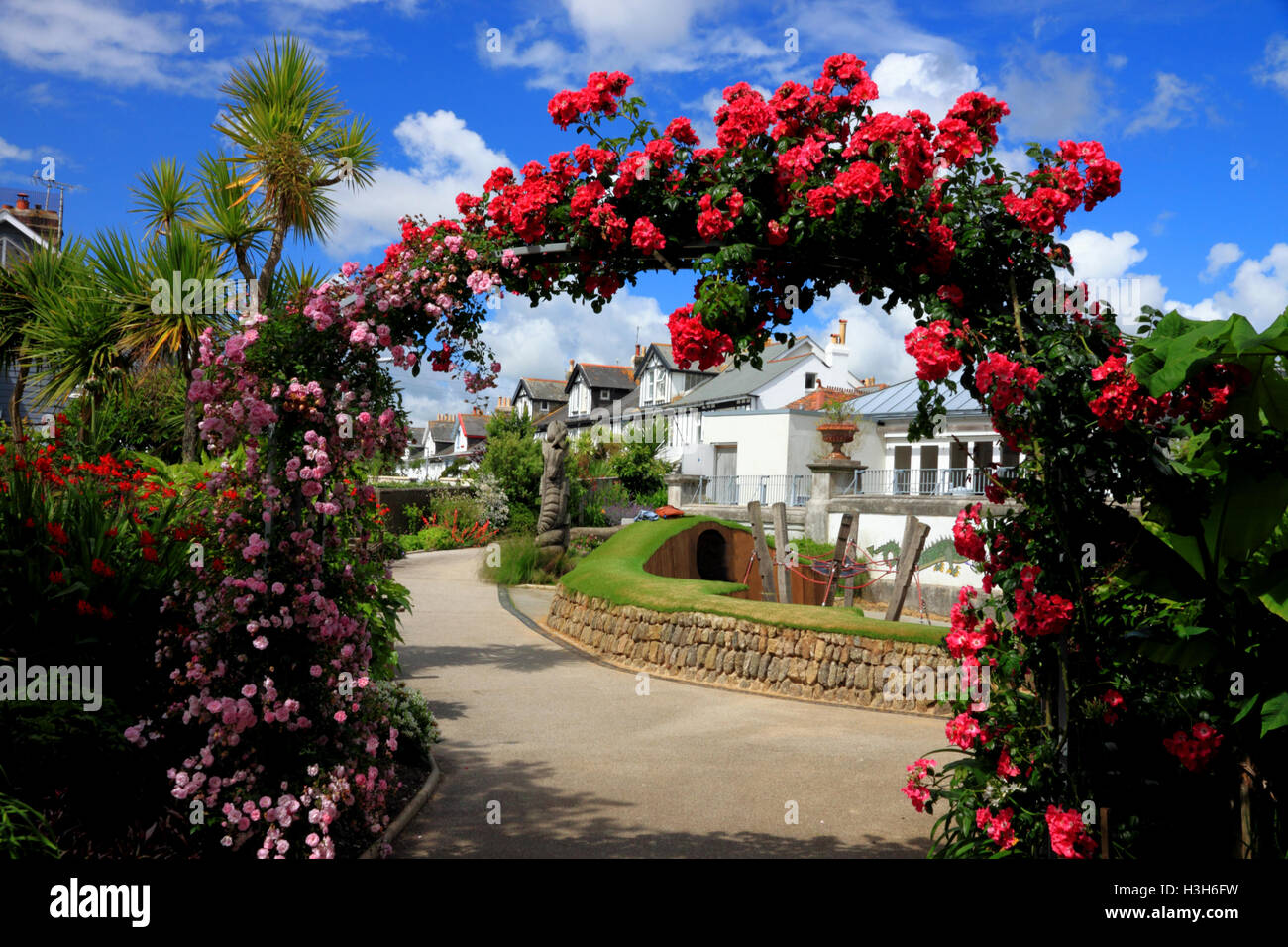 An arch of red climbing roses in the Rose Walk at Gyllyngdune Gardens, Falmouth Cornwall. Stock Photo