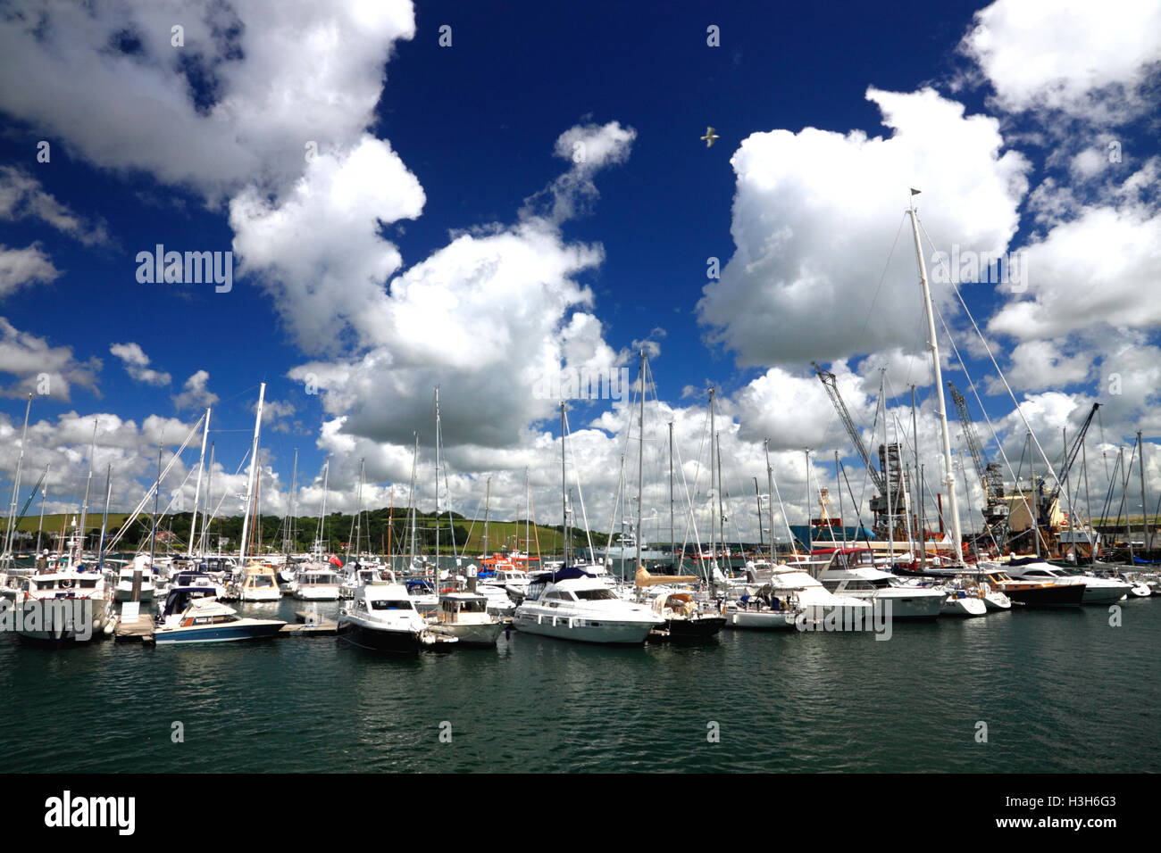 Boats moored in the harbour at Falmouth, Cornwall. Stock Photo