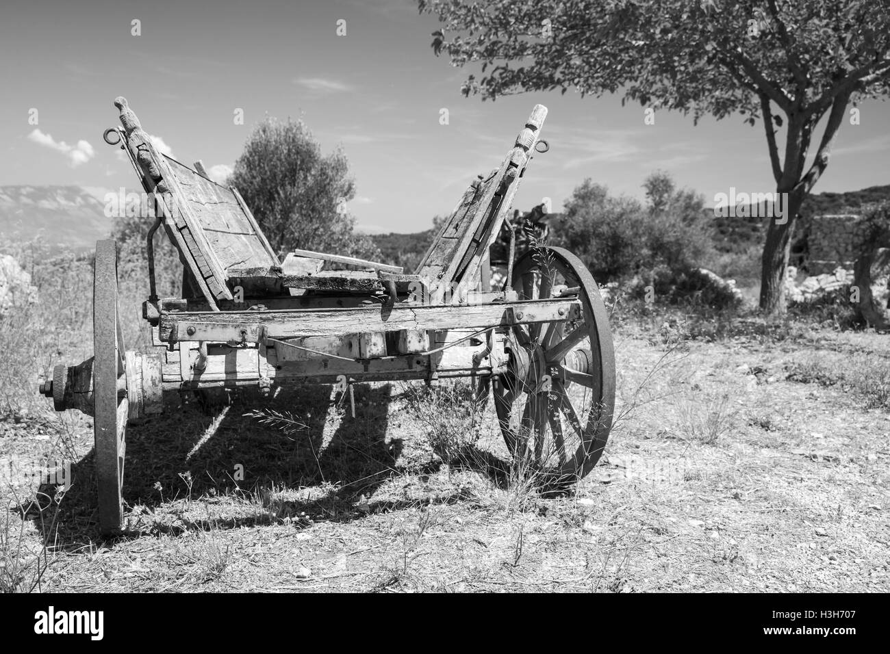 Empty old rural wooden wagon, close up black and white photo Stock Photo