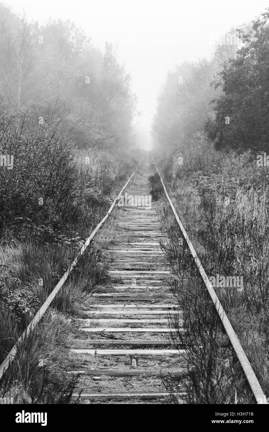 Empty railway goes through foggy forest in morning, vertical black and white photo Stock Photo