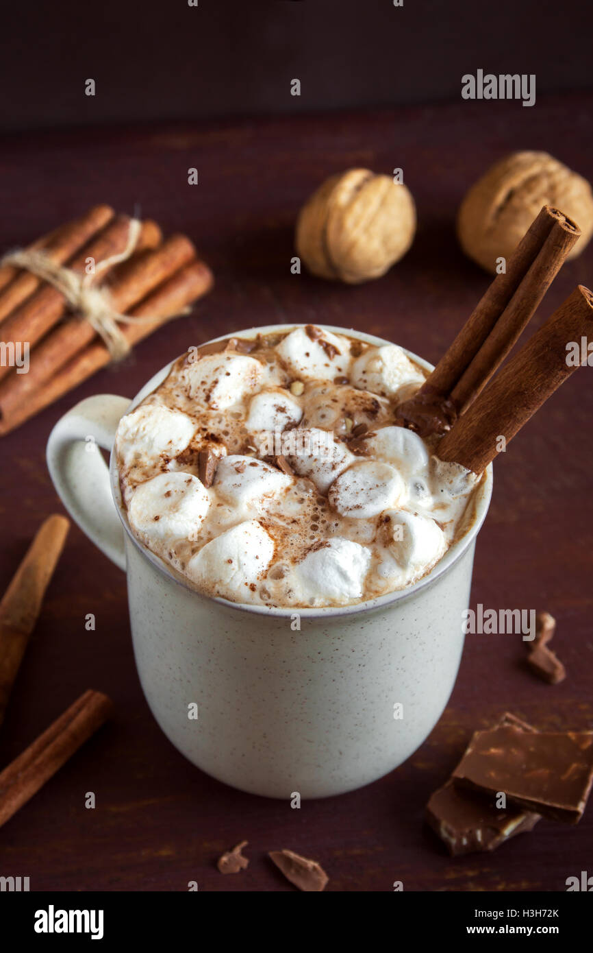 Hot chocolate drink with marshmallows, chocolate chips and cinnamon