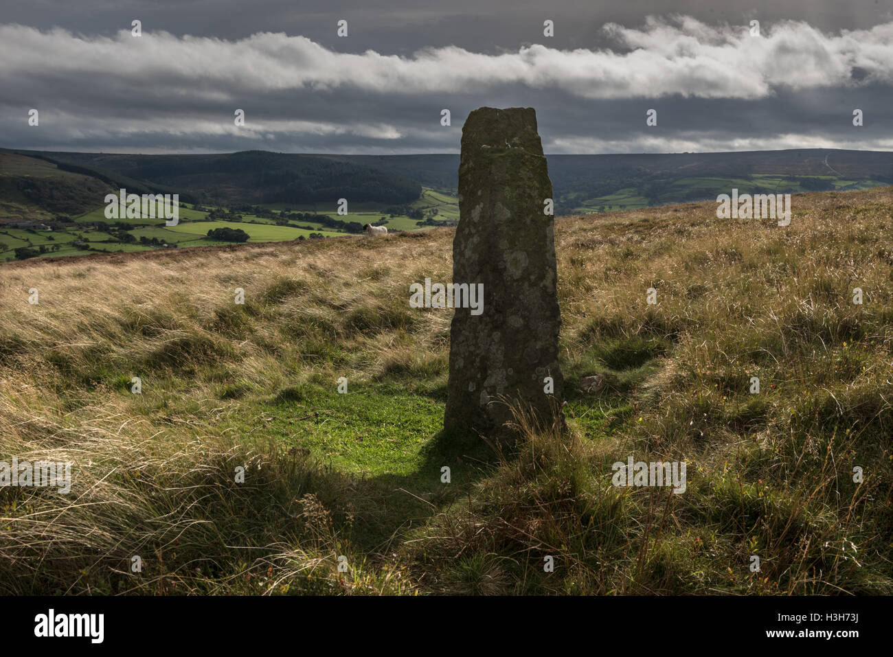 Stone moorland waymarkers on Glaisdale Rigg Stock Photo