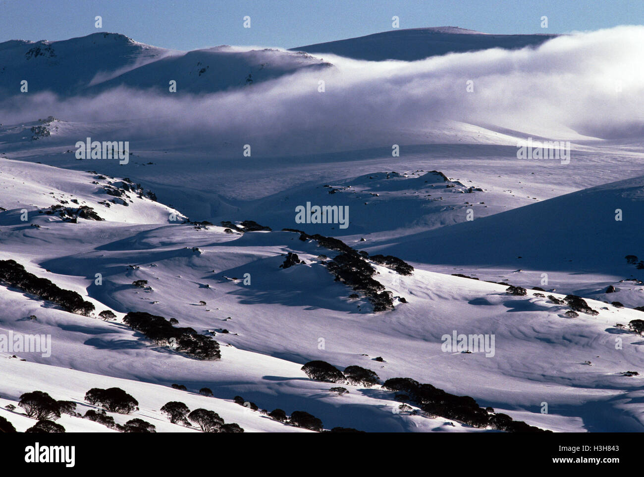 View from Charlotte Pass, Stock Photo