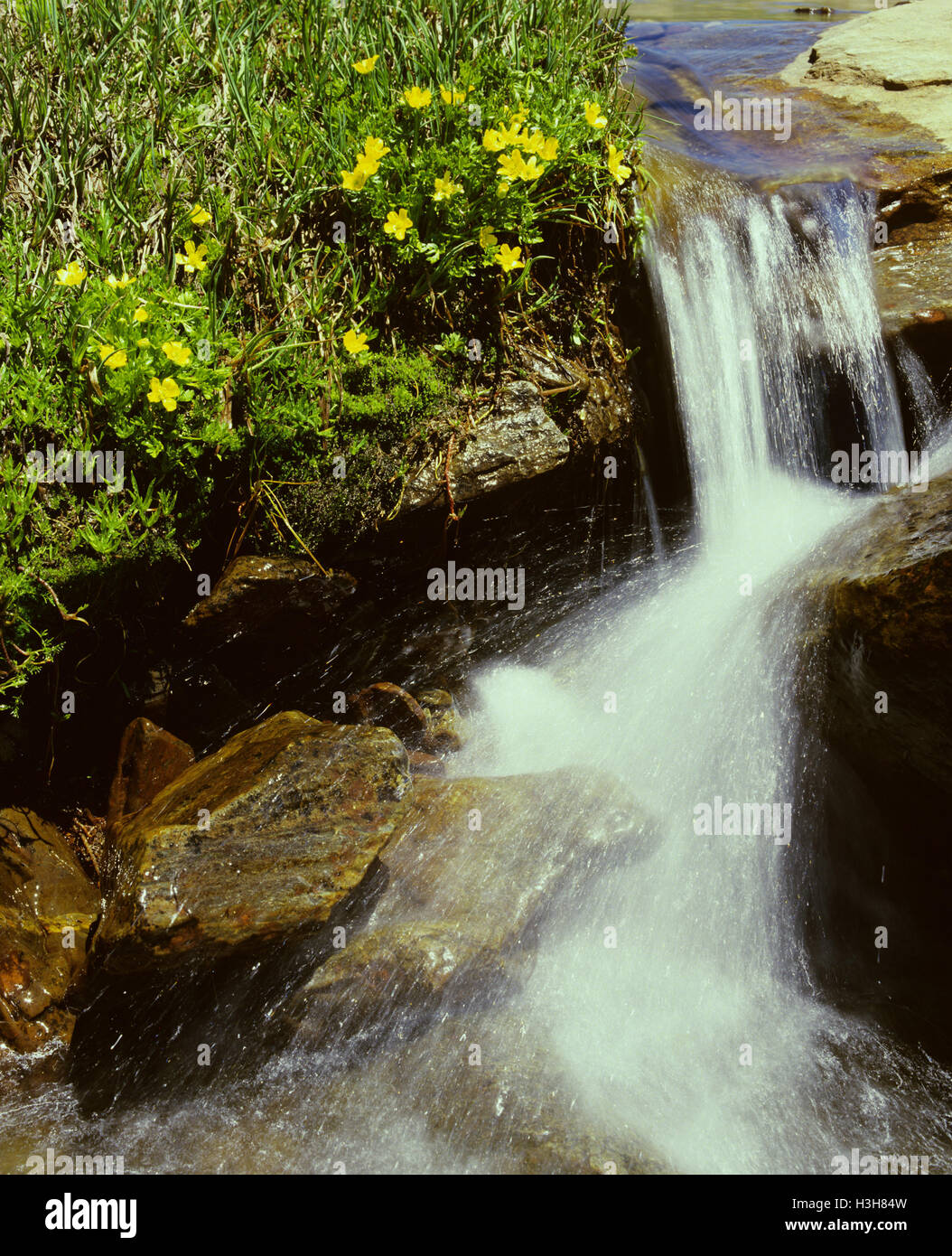 Small creek flowing strongly with meltwater. Stock Photo