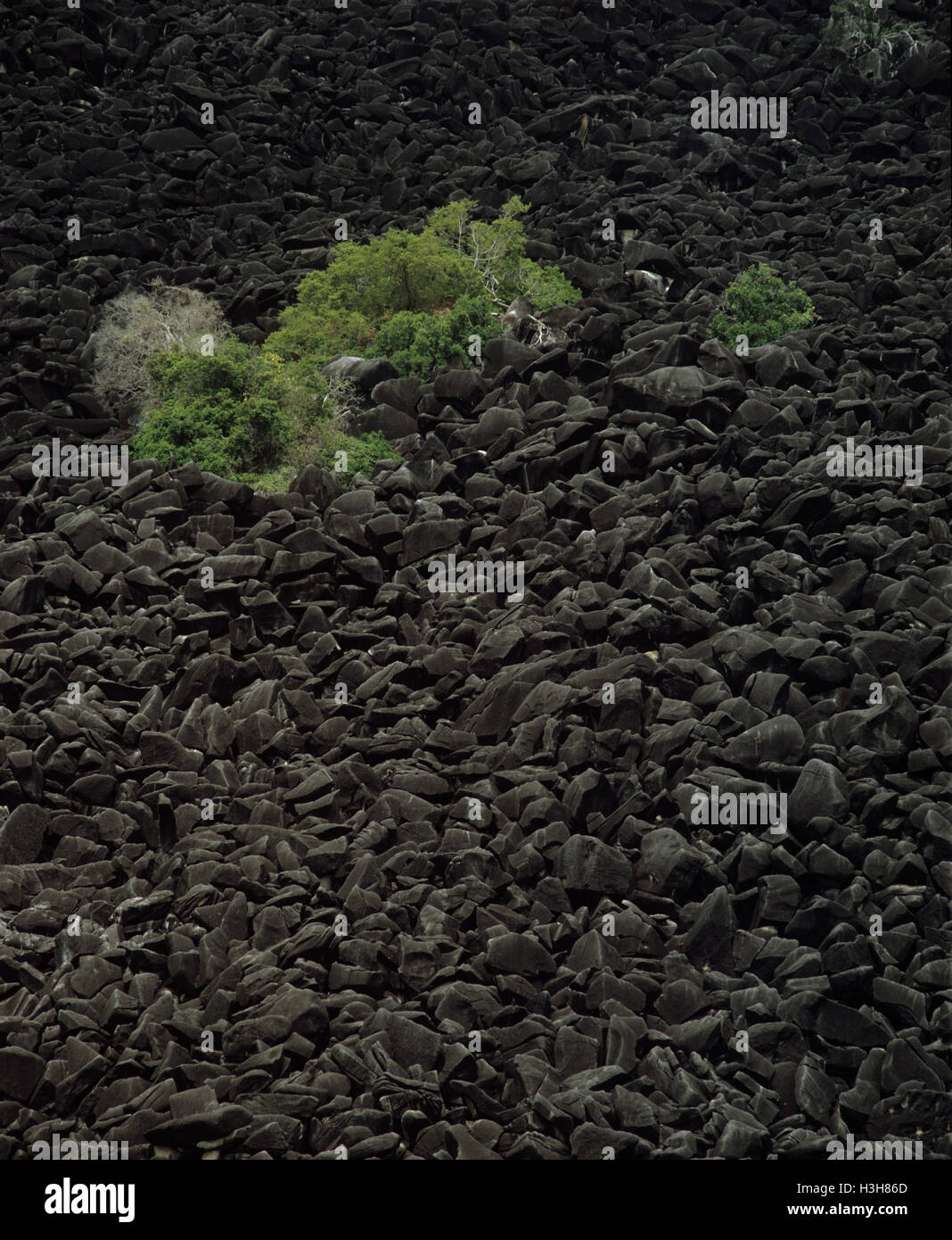 Black granite boulders of Black Mountain. Stock Photo