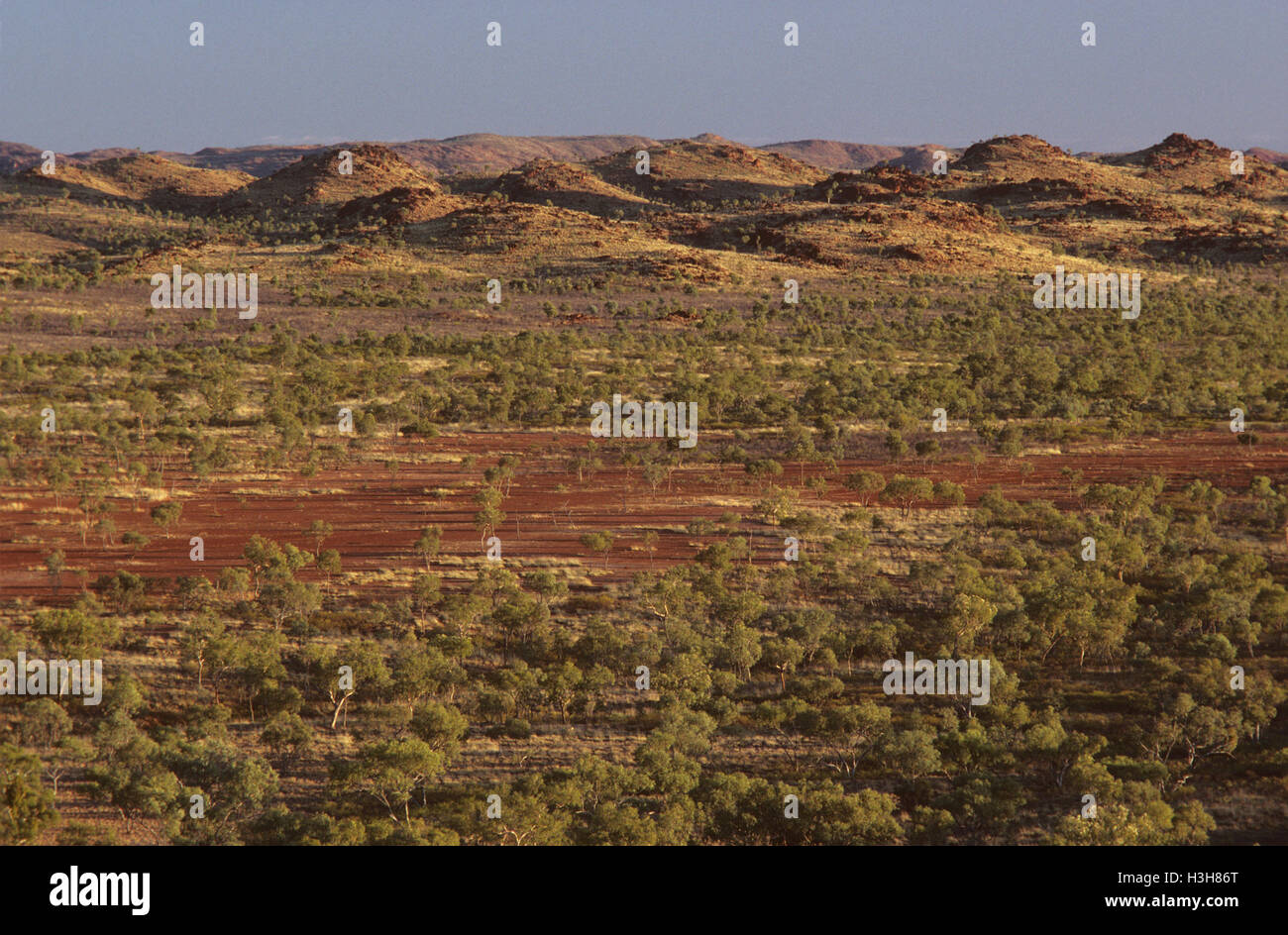 Mitchell grass flats and the Selwyn Ranges Stock Photo Alamy