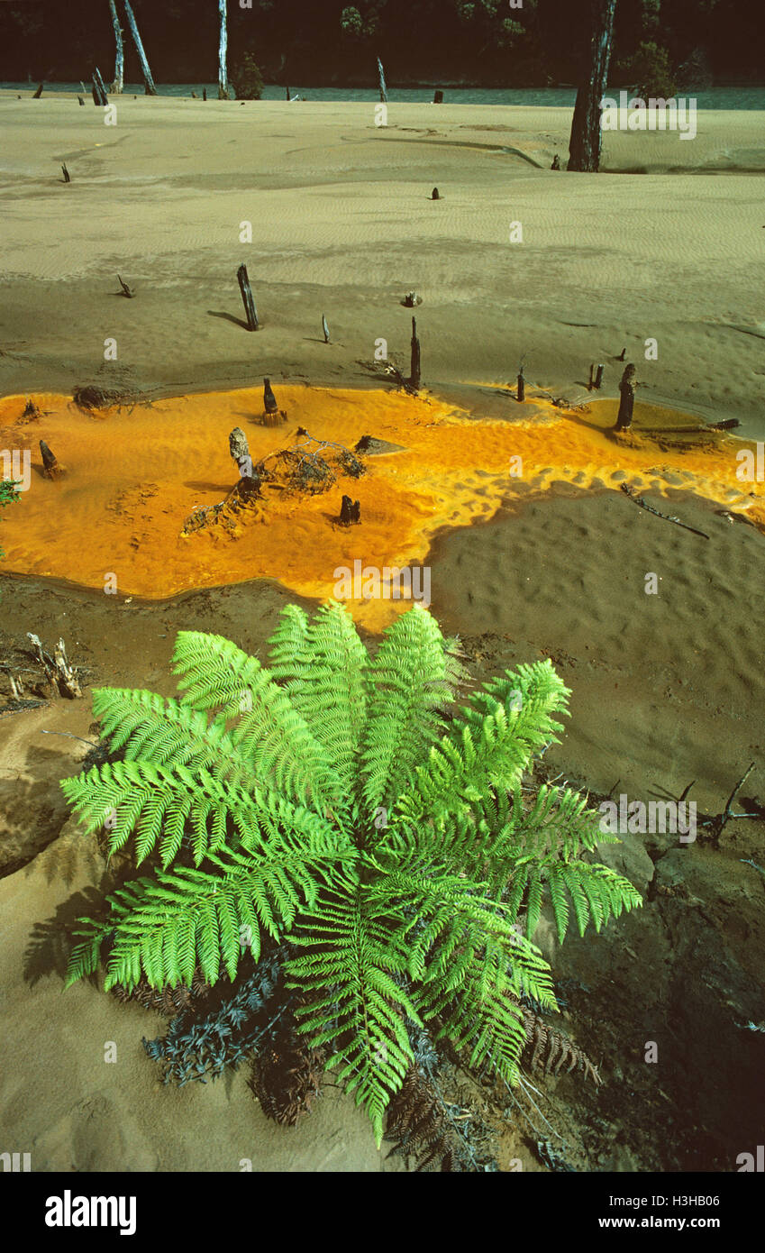 Mining pollution: Stock Photo