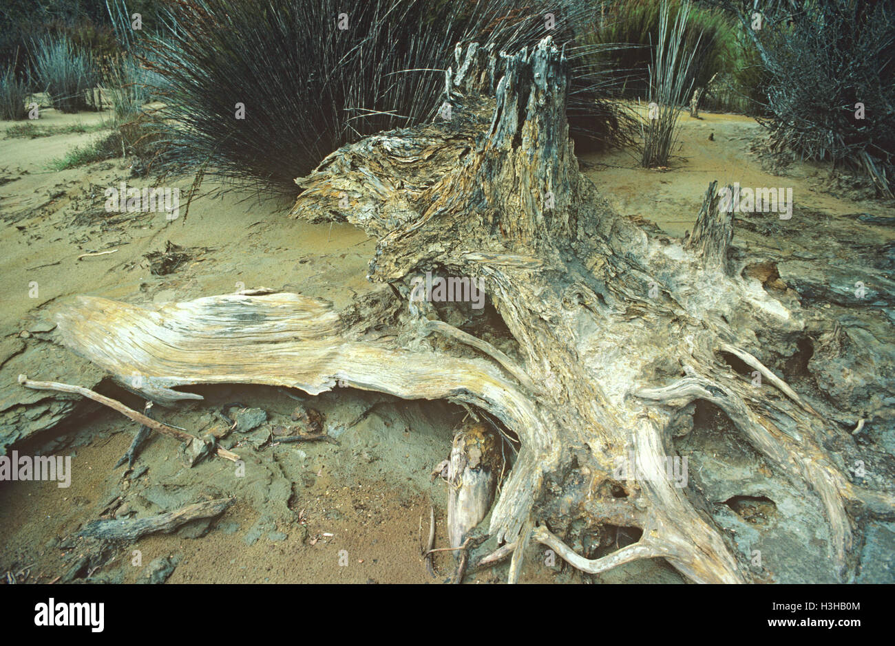 Mining pollution: Stock Photo