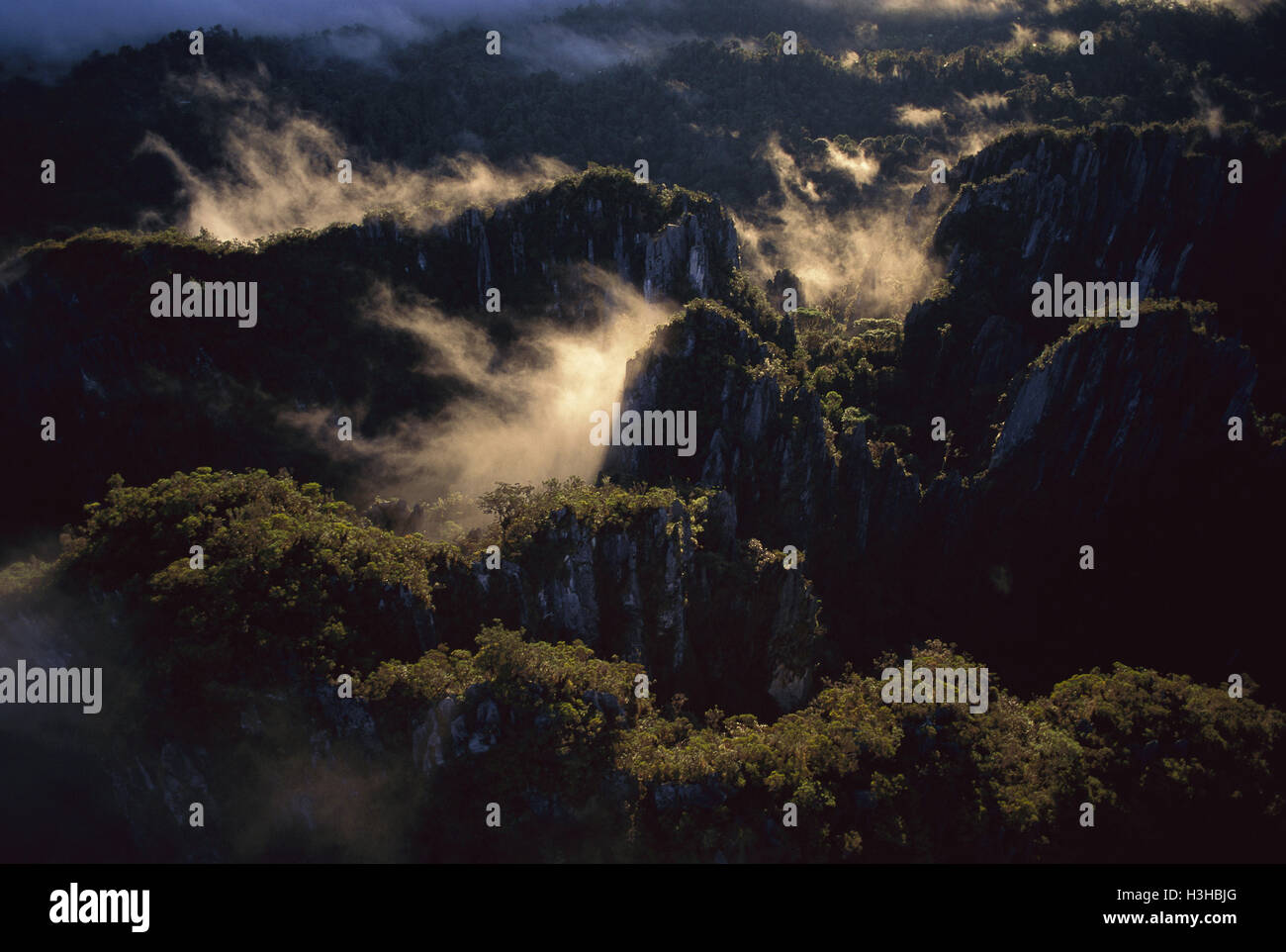 Landscape of Limestone pinnacles covering between 8 and 10 sq km, Stock Photo