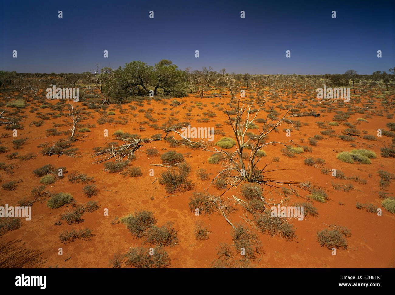 Gibson Desert Stock Photo Alamy