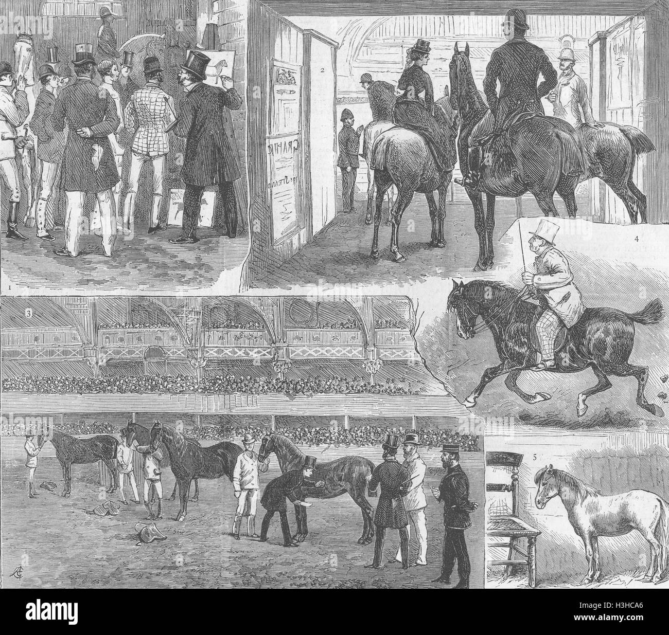 HORSES The Metropolitan Horse-show 1874. The Graphic Stock Photo