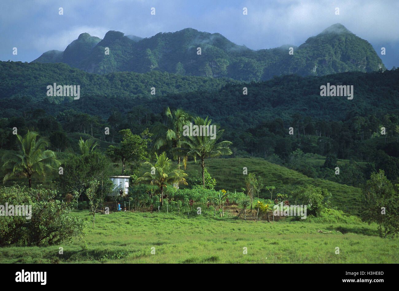 Rural landscape in mountainous Highlands region, Stock Photo