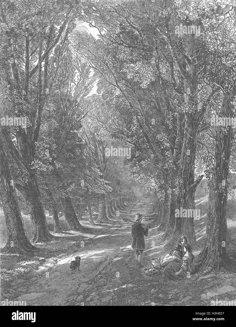 LANDSCAPES Chequered shade 1848. Illustrated London News Stock Photo