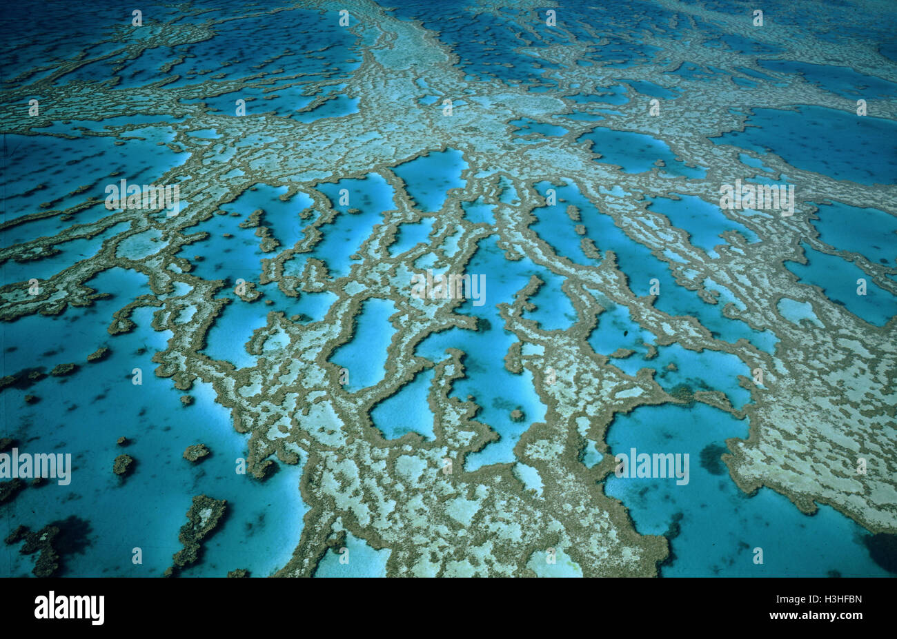 Hardy Reef and its coral formations Stock Photo