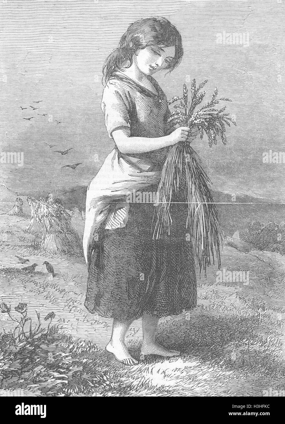Spreading flax in the North of Ireland 1859 IRELAND antique print