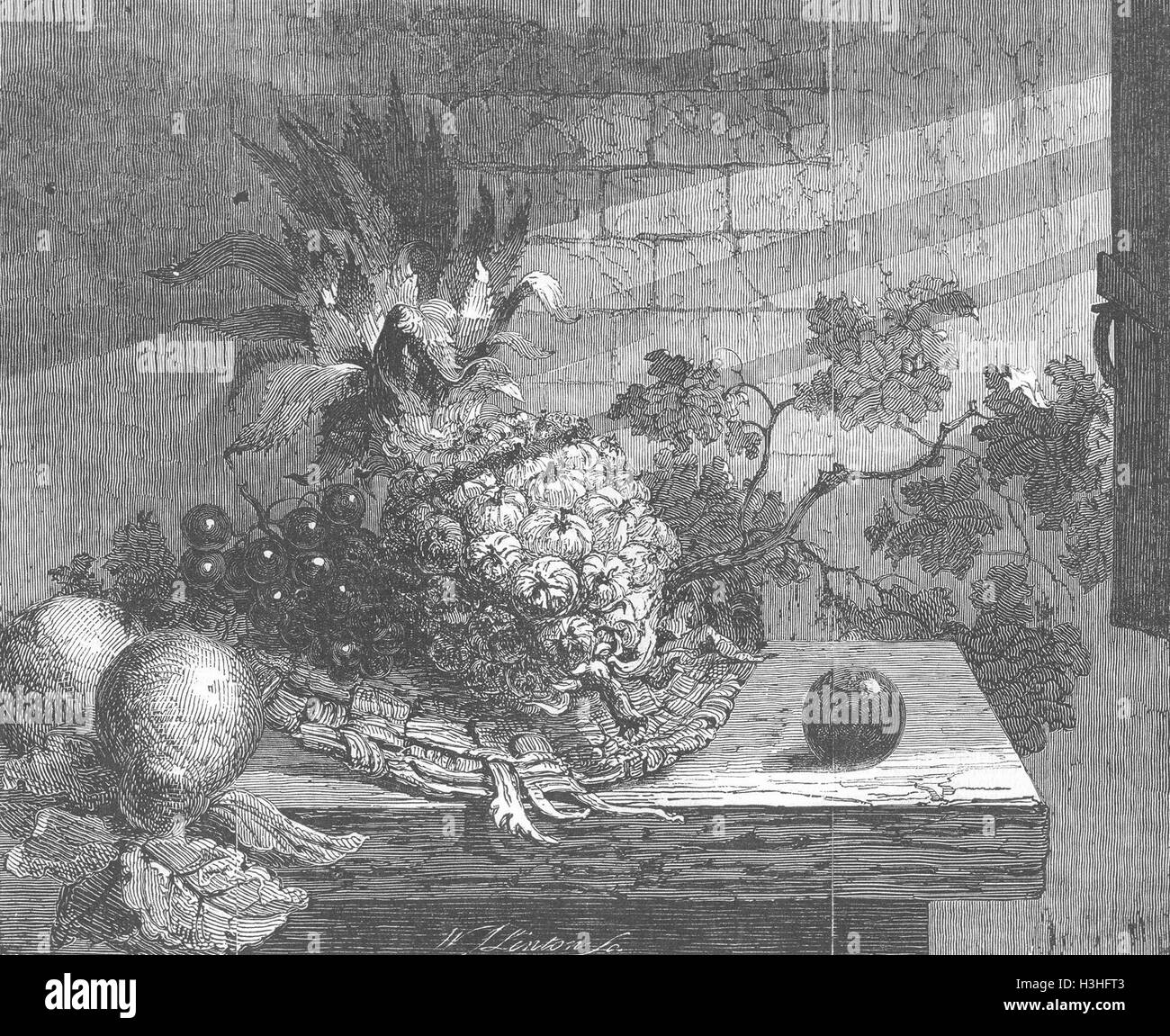 FRUIT The Ripening Sunbeam 1845. Illustrated London News Stock Photo