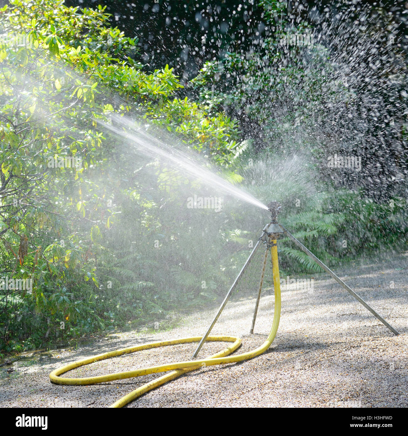 Water sprinklers in park watering hi-res stock photography and images ...