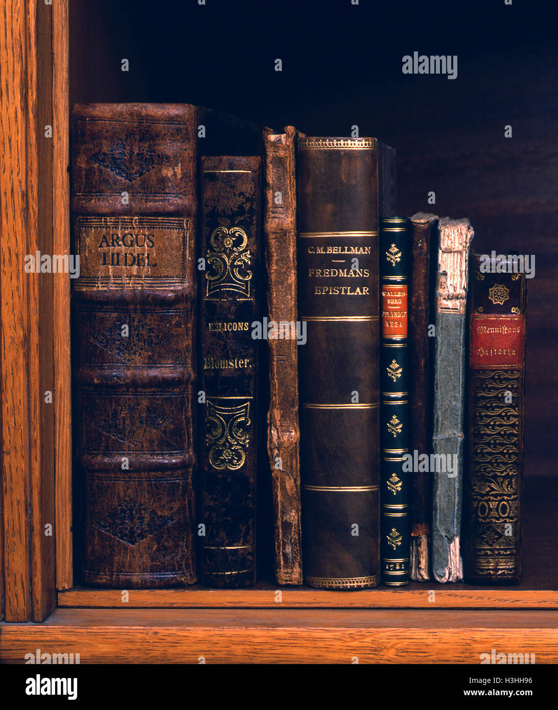 BOOKSPINES in Bookshelf Stock Photo