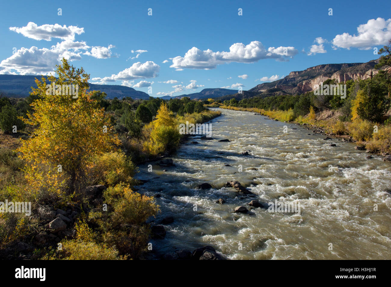 Yellow aspens on the Rio Chama in northern New Mexico Stock Photo