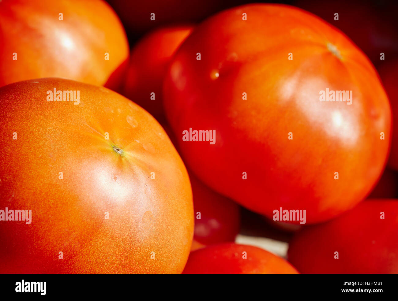 Beefsteak tomatoes for sale at a Lancaster County, Pennsylvania farm stand Stock Photo