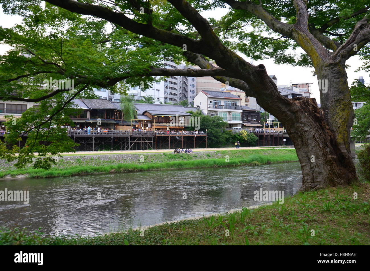 Japan Riverside Dinning Japan restaurant tourist family hi-res stock photography and images - Alamy