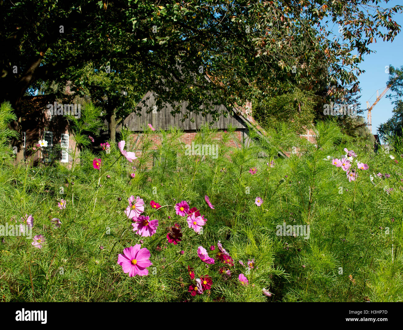 the city of vreden in germany Stock Photo - Alamy