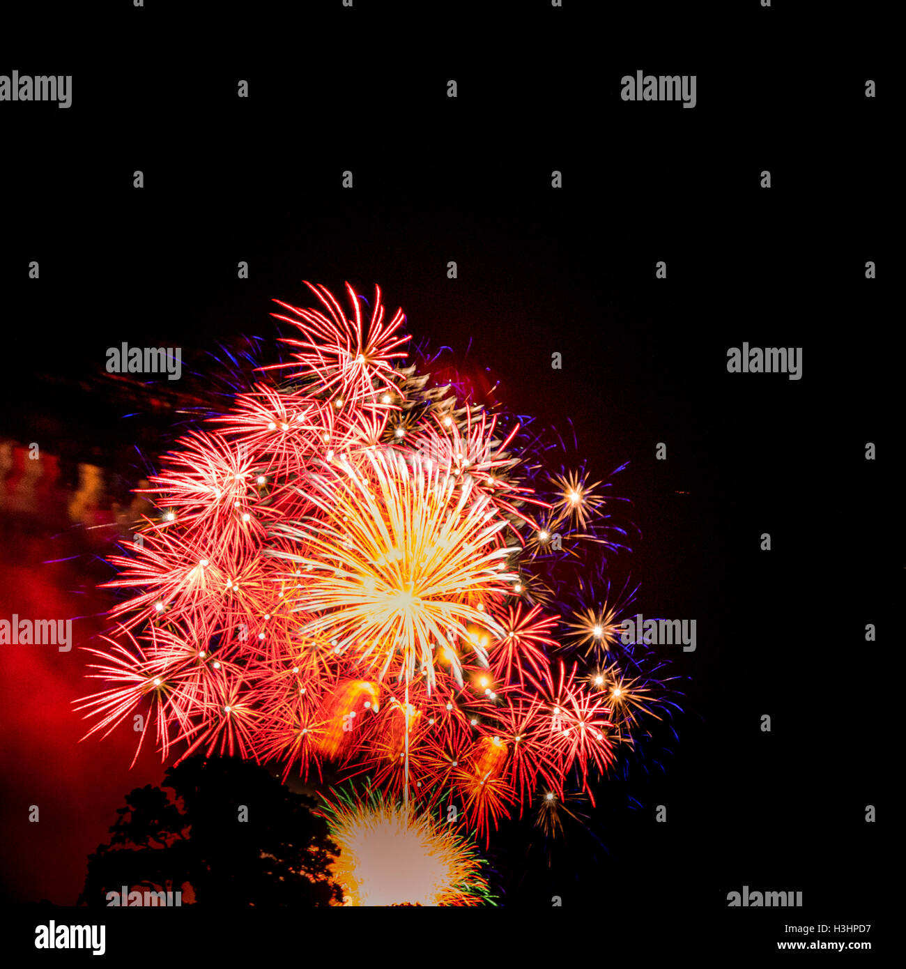 Golden and red large burst.Spectacular fireworks Stock Photo
