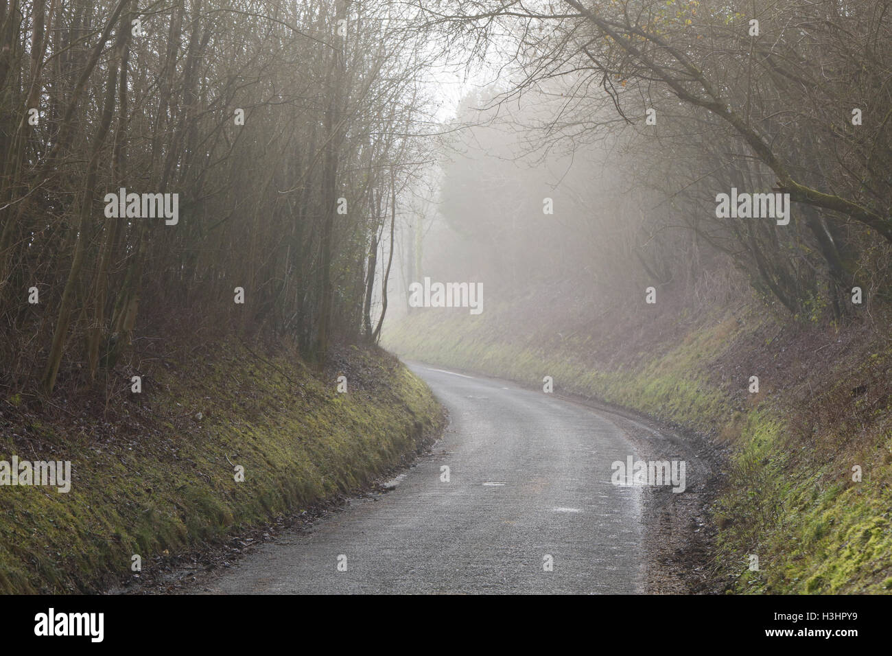 Country lane on a misty winter morning climbs up Gallows Down to Walbury Hill, the highest natural point in SE England. Stock Photo