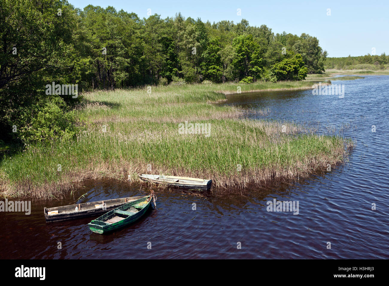 Lake Slokas in Kemeri National Park Latvia Stock Photo