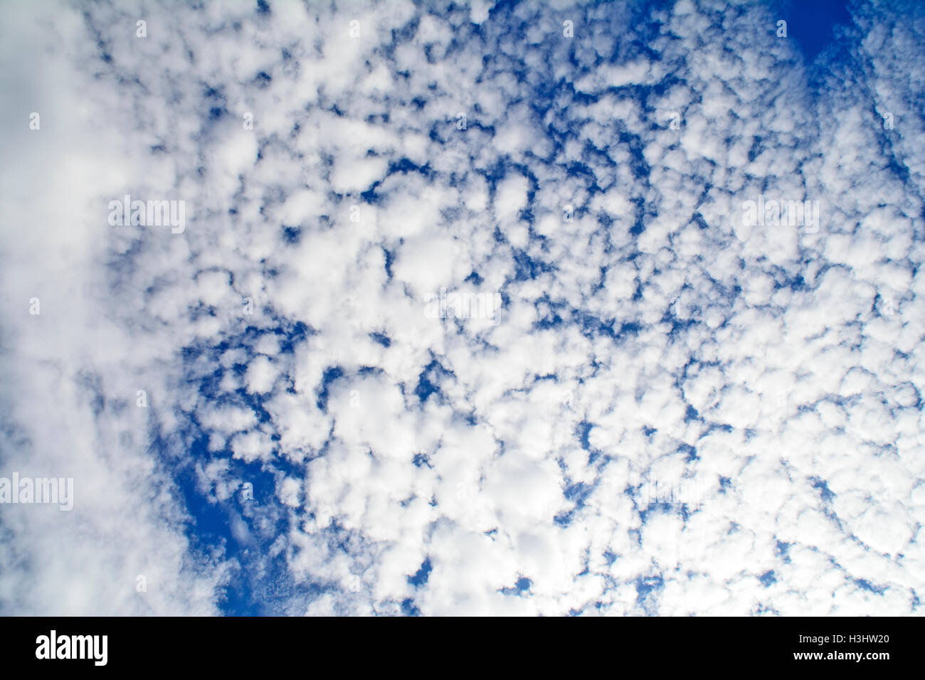 Summer day and the white clouds that travel blue sky. Stock Photo
