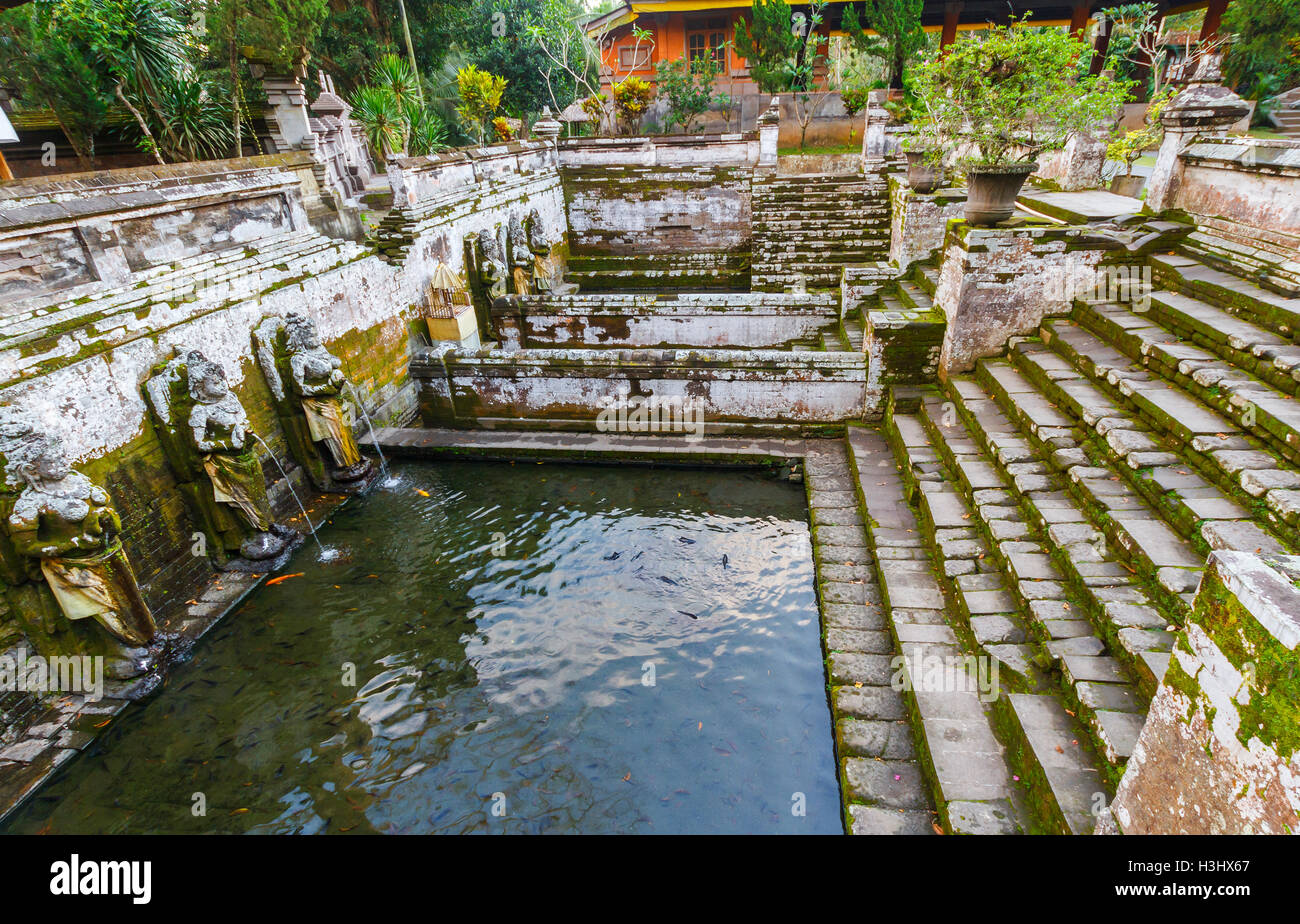 Bathing Temple in Goa Gajah or Elephant Cave. Ubud. Bali. Indonesia, Asia. Stock Photo