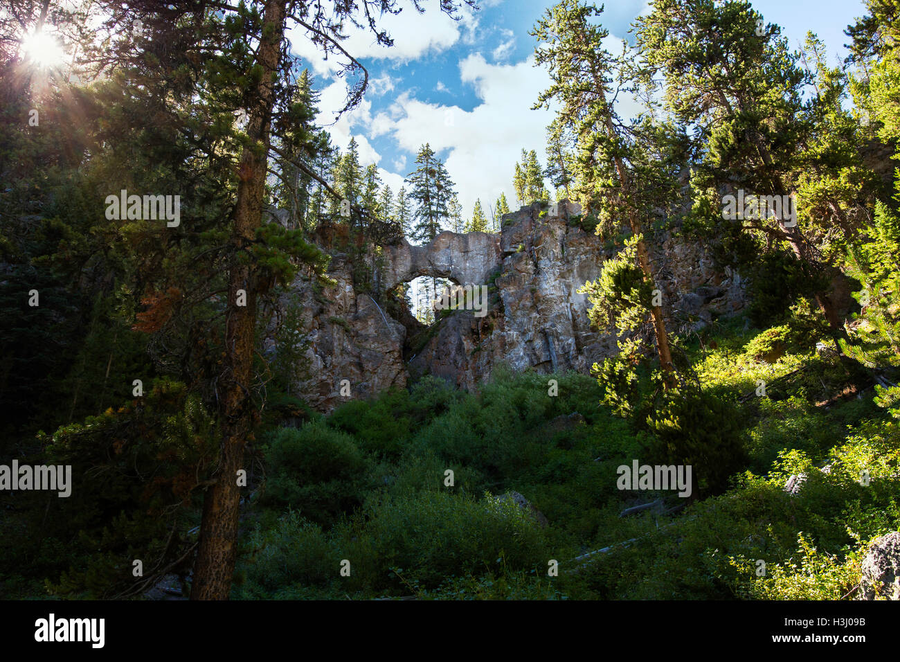 Natural Bridge In Yellowstone Stock Photo Alamy