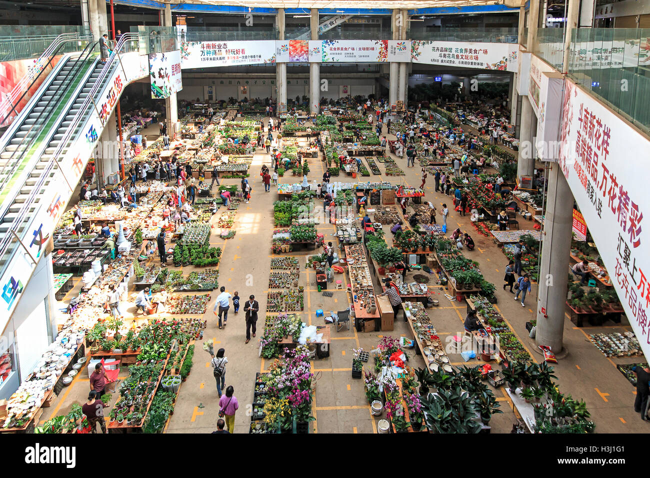 Bird market kunming hi-res stock photography and images - Alamy