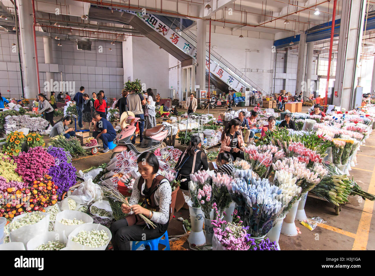 Bird market kunming hi-res stock photography and images - Alamy