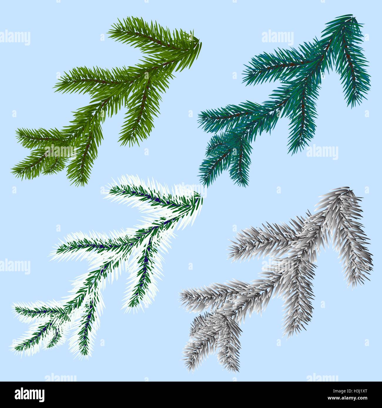 Set of four spruce, pine branches, isolated on a blue background. Freezing day illustration Stock Vector