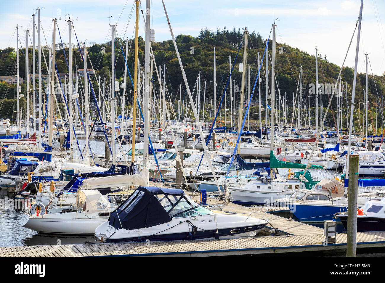 Number of yachts and small boats berthed at Inverkip Marina, Greenock