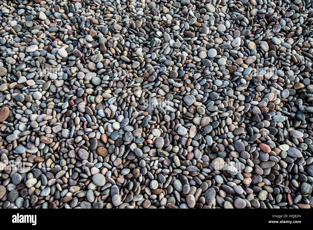 Smooth pebbles on Findhorn Beach Scotland Stock Photo