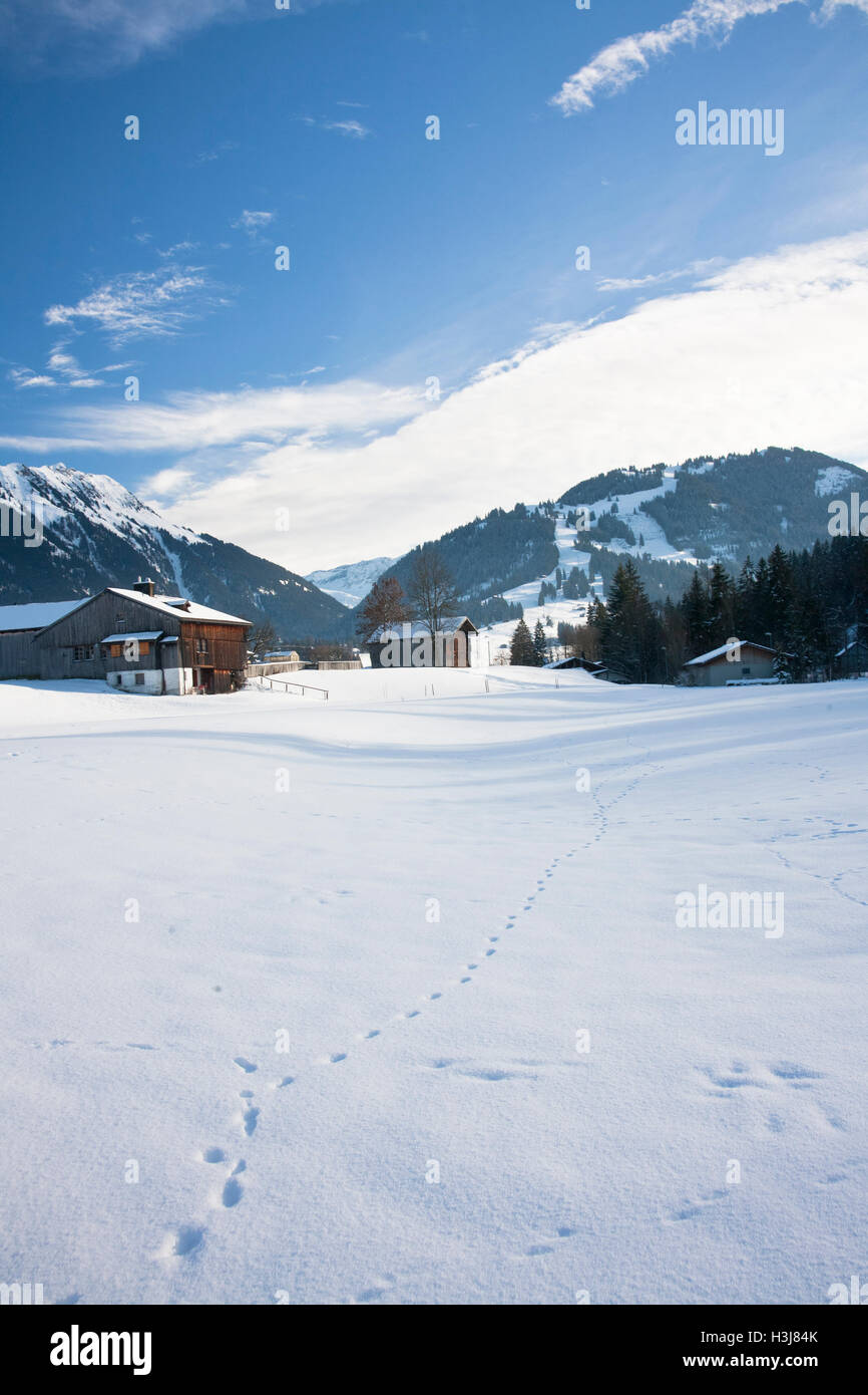 Snowy landscape with traditional swiss houses in Alps Stock Photo - Alamy