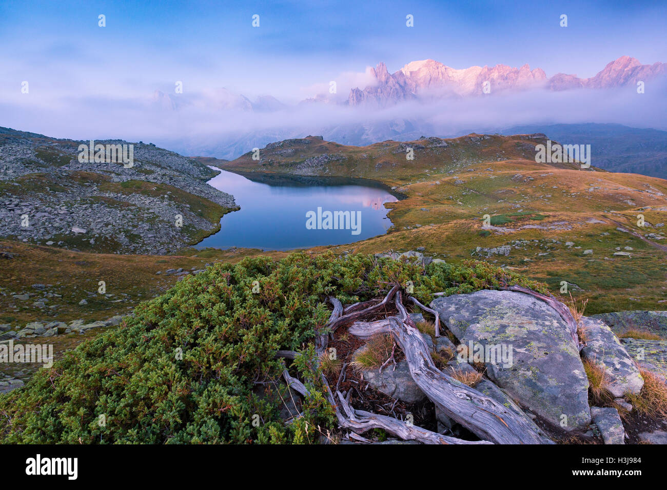 Scenic landscape view off green meadows, Juniperus plant; blue alpine lake, clouds, mountain peaks. Vallée de la Clarée. Névache, Hautes Alpes. Stock Photo