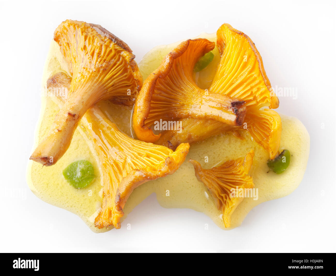 Traditional Sauteed Chanterelle Recipe High Resolution Stock traditional-sauteed-chanterelle-recipe-high-resolution-stock