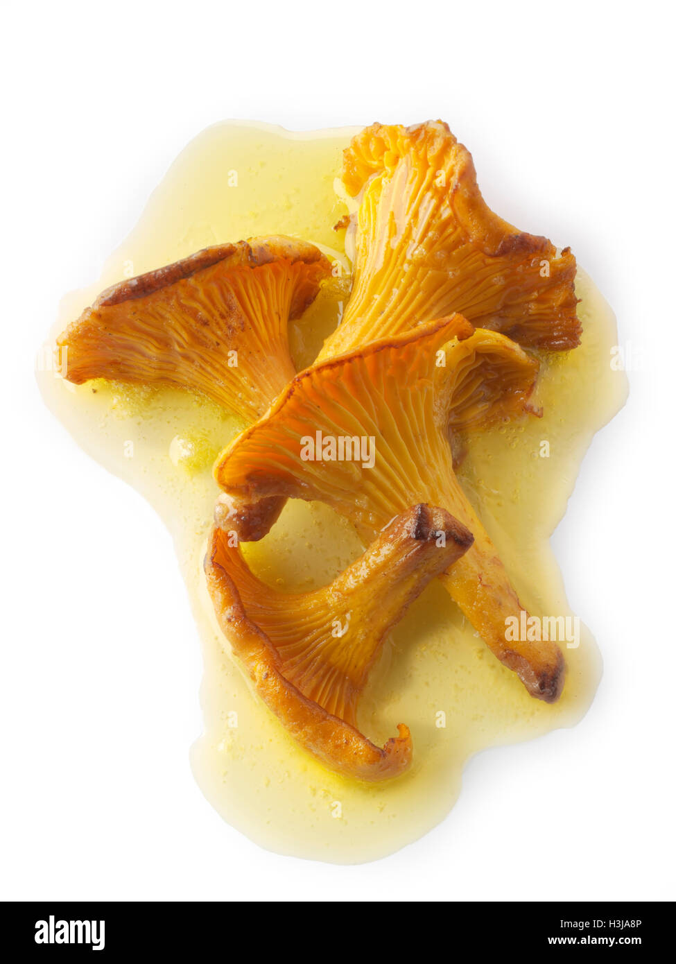 Wiild organic chanterelle or girolle Mushrooms (Cantharellus cibarius) or sauteed in butter Stock Photo